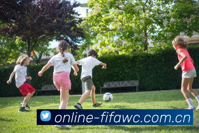 FIFA 官方数据授权认证